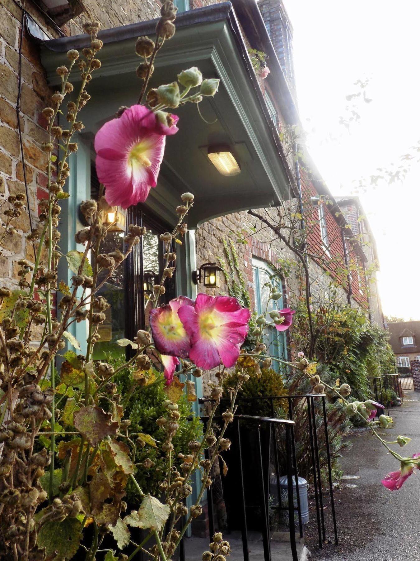 The Angel B&B Chichester Kültér fotó